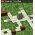 Nintaii - game trí tu&ecirc;̣ r&acirc;́t hay cho Blackberry