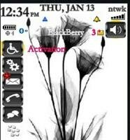themes-blackberry-8120-13