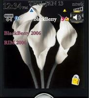 themes-blackberry-8120-14