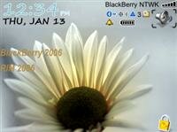 Themes-blackberry-8310-17